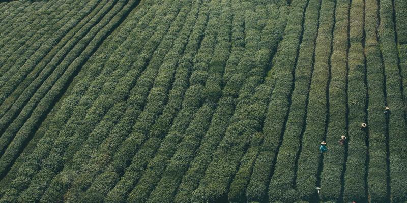 代际差异与物业服务：永佳物业如何满足常州社区老年与青年业主的多元化需求