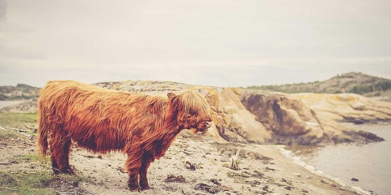 员工激励与归属感：探秘永佳物业常州团队的低流失率与高绩效文化打造