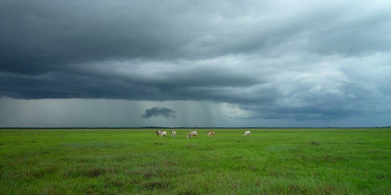 常州永佳物业:新项目接管验收与标准化入驻流程,实现物业管理权平稳过渡