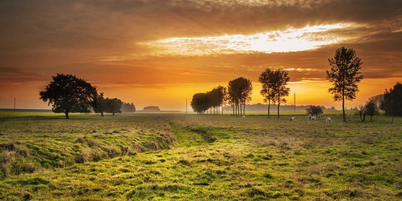 常州永佳物业:精细化物业管理如何成为小区资产增值的隐形引擎?