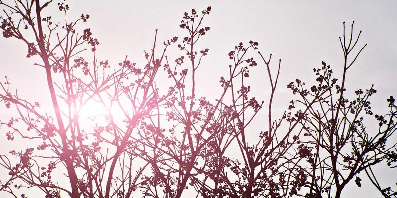 智慧社区新篇章:探秘常州永佳物业的未来场景应用与布局前瞻